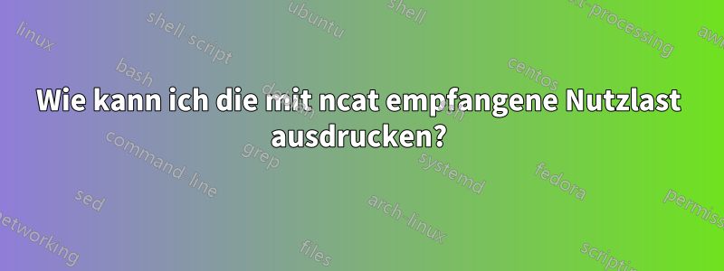 Wie kann ich die mit ncat empfangene Nutzlast ausdrucken?