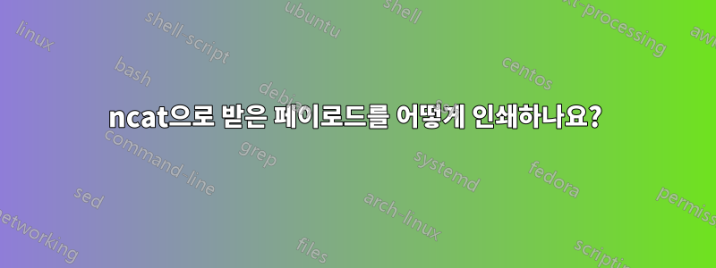 ncat으로 받은 페이로드를 어떻게 인쇄하나요?