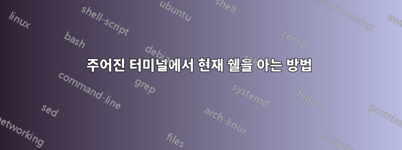 주어진 터미널에서 현재 쉘을 아는 방법