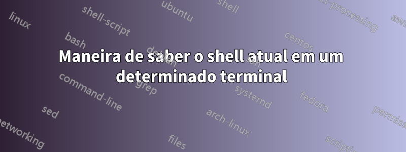 Maneira de saber o shell atual em um determinado terminal