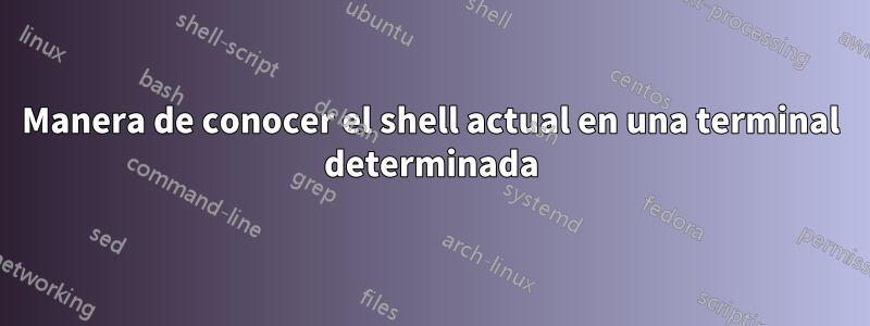 Manera de conocer el shell actual en una terminal determinada