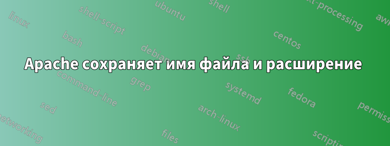 Apache сохраняет имя файла и расширение