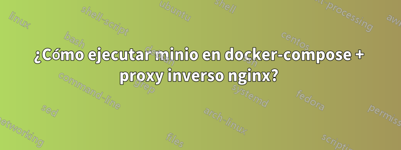 ¿Cómo ejecutar minio en docker-compose + proxy inverso nginx?