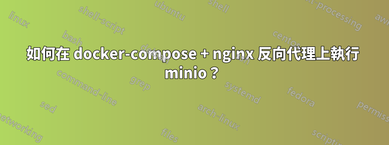 如何在 docker-compose + nginx 反向代理上執行 minio？