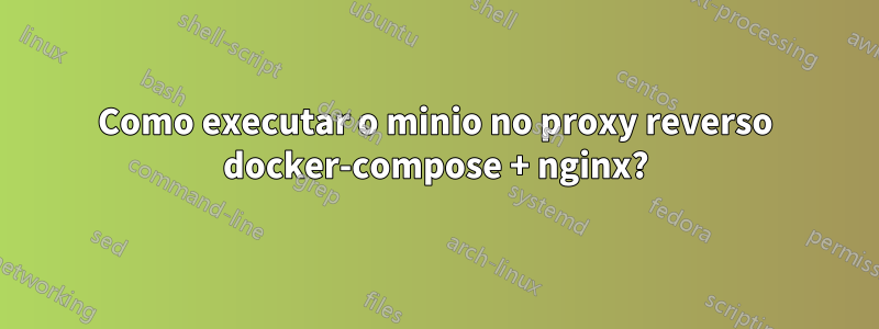 Como executar o minio no proxy reverso docker-compose + nginx?