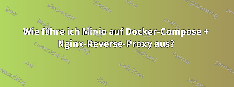 Wie führe ich Minio auf Docker-Compose + Nginx-Reverse-Proxy aus?