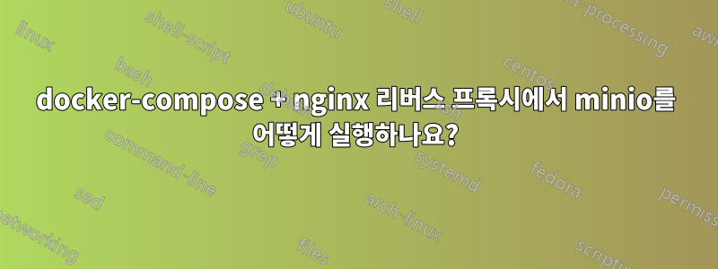docker-compose + nginx 리버스 프록시에서 minio를 어떻게 실행하나요?