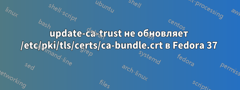 update-ca-trust не обновляет /etc/pki/tls/certs/ca-bundle.crt в Fedora 37