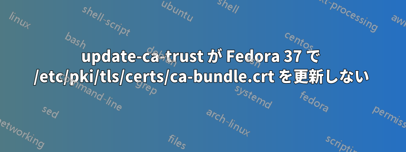 update-ca-trust が Fedora 37 で /etc/pki/tls/certs/ca-bundle.crt を更新しない