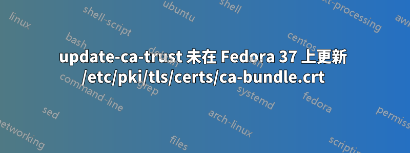 update-ca-trust 未在 Fedora 37 上更新 /etc/pki/tls/certs/ca-bundle.crt