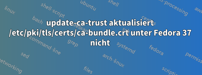 update-ca-trust aktualisiert /etc/pki/tls/certs/ca-bundle.crt unter Fedora 37 nicht