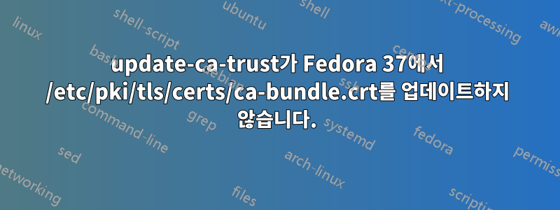 update-ca-trust가 Fedora 37에서 /etc/pki/tls/certs/ca-bundle.crt를 업데이트하지 않습니다.