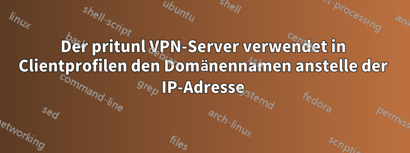 Der pritunl VPN-Server verwendet in Clientprofilen den Domänennamen anstelle der IP-Adresse