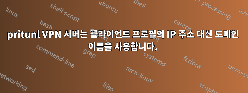 pritunl VPN 서버는 클라이언트 프로필의 IP 주소 대신 도메인 이름을 사용합니다.