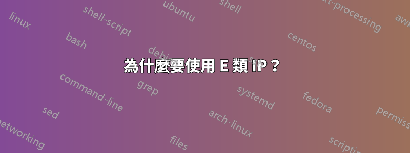 為什麼要使用 E 類 IP？