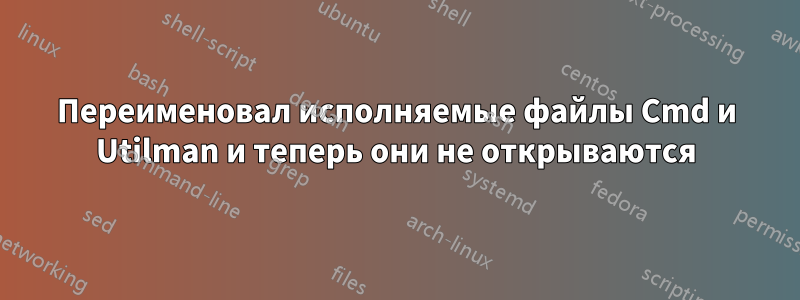 Переименовал исполняемые файлы Cmd и Utilman и теперь они не открываются