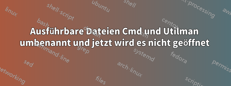 Ausführbare Dateien Cmd und Utilman umbenannt und jetzt wird es nicht geöffnet