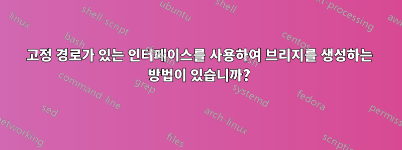 고정 경로가 있는 인터페이스를 사용하여 브리지를 생성하는 방법이 있습니까?
