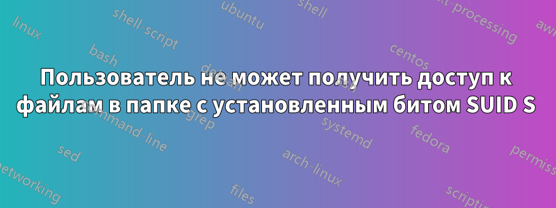 Пользователь не может получить доступ к файлам в папке с установленным битом SUID S