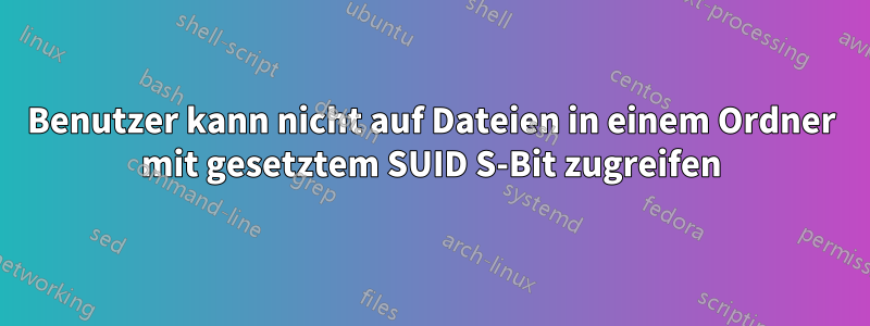 Benutzer kann nicht auf Dateien in einem Ordner mit gesetztem SUID S-Bit zugreifen