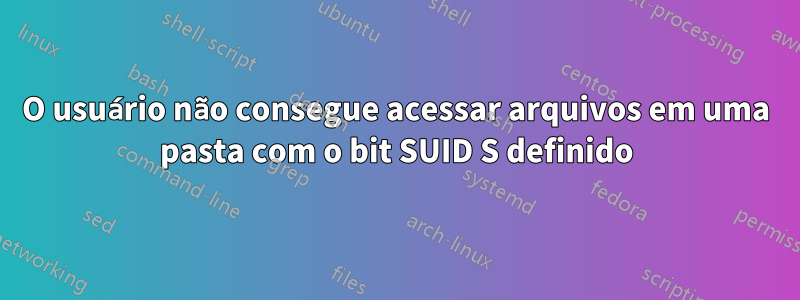 O usuário não consegue acessar arquivos em uma pasta com o bit SUID S definido