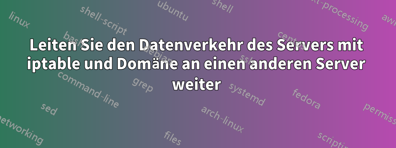 Leiten Sie den Datenverkehr des Servers mit iptable und Domäne an einen anderen Server weiter