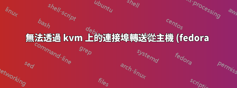 無法透過 kvm 上的連接埠轉送從主機 (fedora) ssh 進入客戶作業系統 (openBSD)