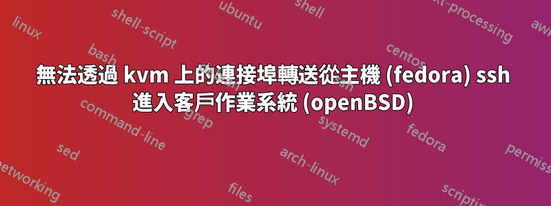 無法透過 kvm 上的連接埠轉送從主機 (fedora) ssh 進入客戶作業系統 (openBSD)