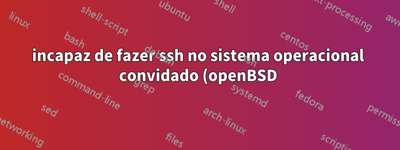 incapaz de fazer ssh no sistema operacional convidado (openBSD) do host (fedora) via encaminhamento de porta no kvm