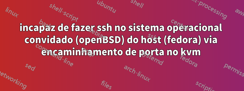 incapaz de fazer ssh no sistema operacional convidado (openBSD) do host (fedora) via encaminhamento de porta no kvm