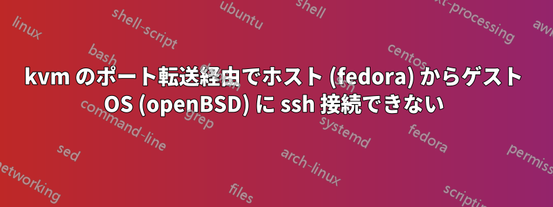 kvm のポート転送経由でホスト (fedora) からゲスト OS (openBSD) に ssh 接続できない