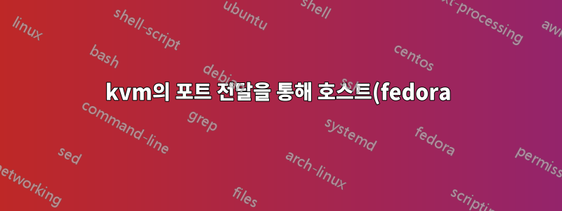 kvm의 포트 전달을 통해 호스트(fedora)에서 게스트 OS(openBSD)로 SSH를 통해 연결할 수 없습니다.