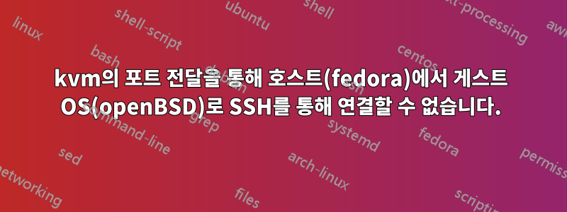 kvm의 포트 전달을 통해 호스트(fedora)에서 게스트 OS(openBSD)로 SSH를 통해 연결할 수 없습니다.