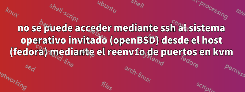no se puede acceder mediante ssh al sistema operativo invitado (openBSD) desde el host (fedora) mediante el reenvío de puertos en kvm