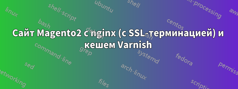 Сайт Magento2 с nginx (с SSL-терминацией) и кешем Varnish