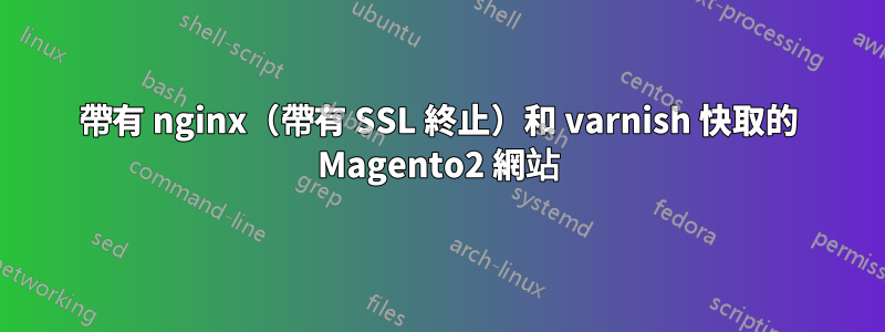 帶有 nginx（帶有 SSL 終止）和 varnish 快取的 Magento2 網站