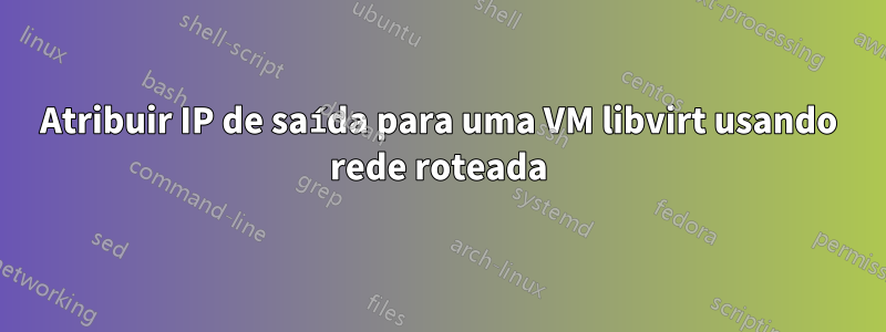 Atribuir IP de saída para uma VM libvirt usando rede roteada