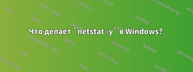 Что делает `netstat -y` в Windows?