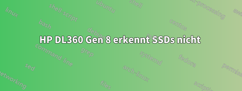HP DL360 Gen 8 erkennt SSDs nicht