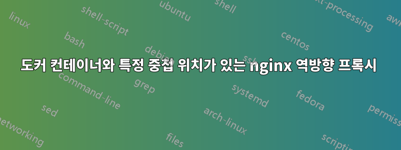 도커 컨테이너와 특정 중첩 위치가 있는 nginx 역방향 프록시