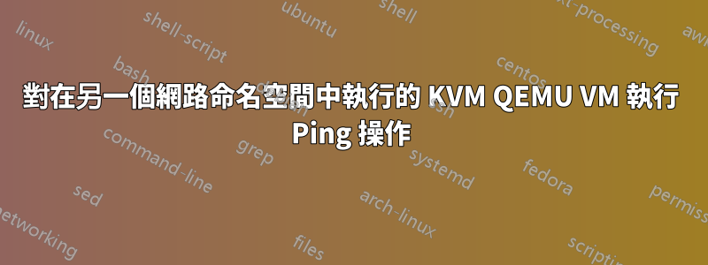 對在另一個網路命名空間中執行的 KVM QEMU VM 執行 Ping 操作