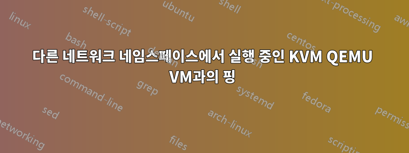 다른 네트워크 네임스페이스에서 실행 중인 KVM QEMU VM과의 핑