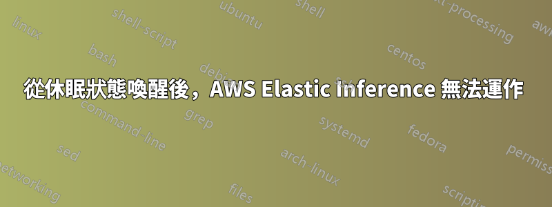 從休眠狀態喚醒後，AWS Elastic Inference 無法運作