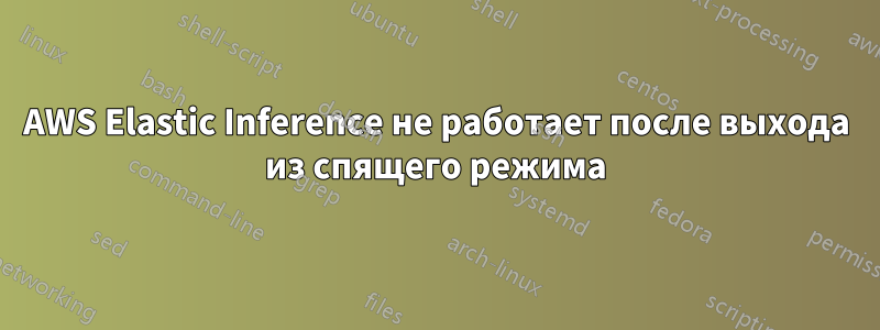 AWS Elastic Inference не работает после выхода из спящего режима