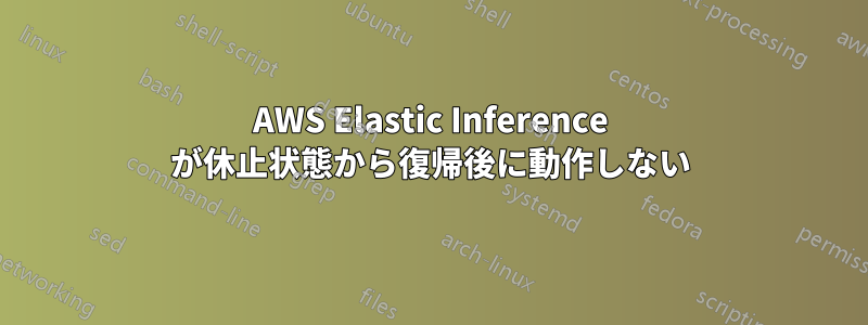 AWS Elastic Inference が休止状態から復帰後に動作しない