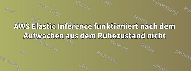 AWS Elastic Inference funktioniert nach dem Aufwachen aus dem Ruhezustand nicht
