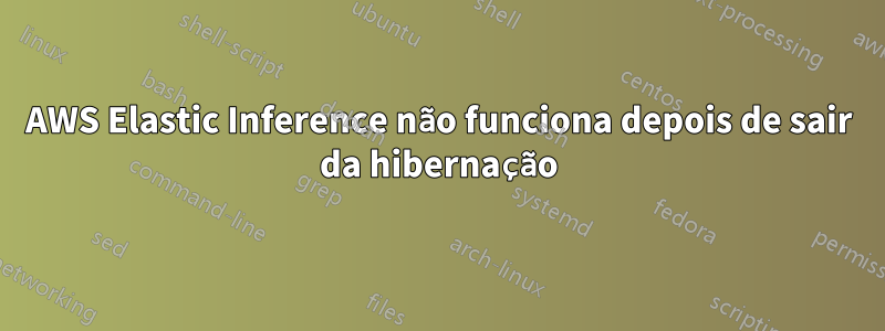 AWS Elastic Inference não funciona depois de sair da hibernação