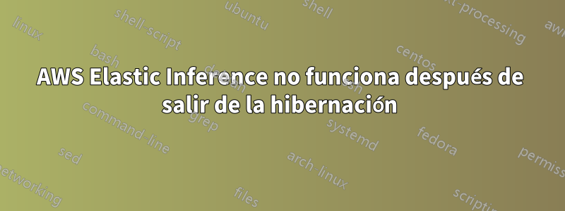 AWS Elastic Inference no funciona después de salir de la hibernación