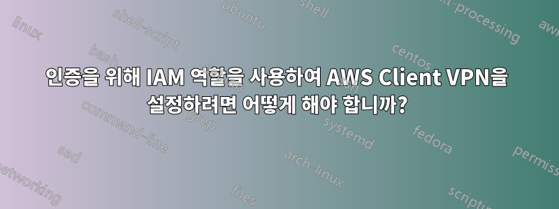 인증을 위해 IAM 역할을 사용하여 AWS Client VPN을 설정하려면 어떻게 해야 합니까?