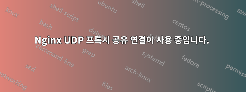 Nginx UDP 프록시 공유 연결이 사용 중입니다.